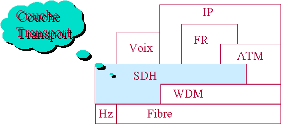 position de la couche SDH