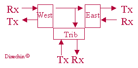 schema