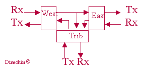 schema