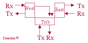 schema