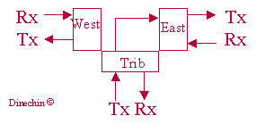 schema