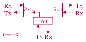 schema