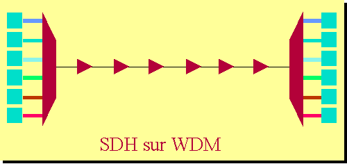 SDH sur WDM