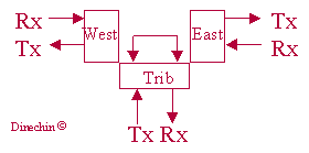 schema